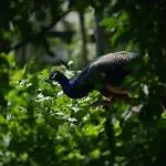 Βίλα Spokoj Mi Daj Sorkwity