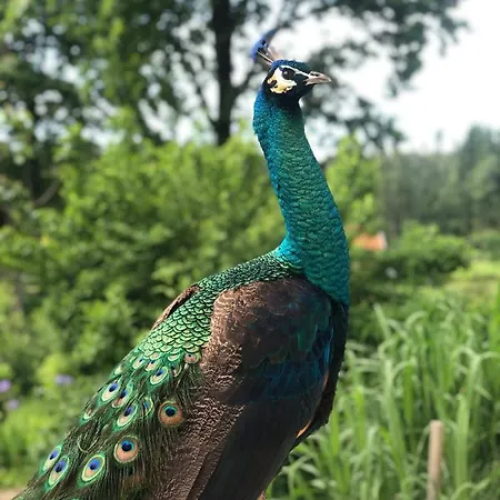 Spokoj Mi Daj Вилла