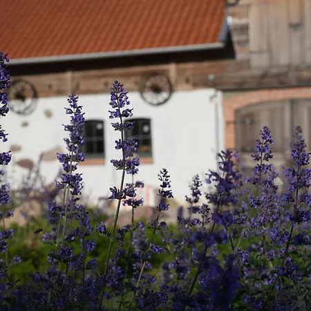 Spokoj Mi Daj * Сорквиты