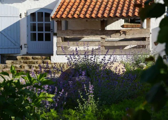 Willa Spokój Mi Daj Sorkwity